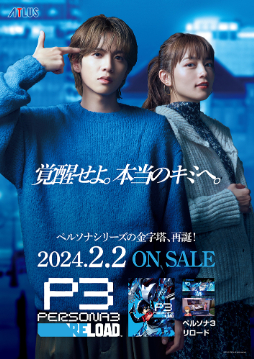 ꡼ No.013 | ֥ڥ륽5 פȾۥˡ֥ڥ륽5ץ꡼1000ˤǰ