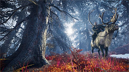 �ǥ������Х꡼�ĥ��������������󥰤λ���