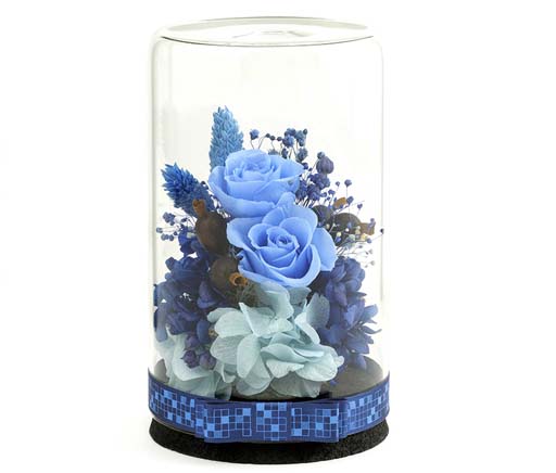 ꡼ No.002 | ֥ڥ륽ʡץ꡼򥤥᡼ƥꥢо졣ܥȥե磻쥹ԡʤ