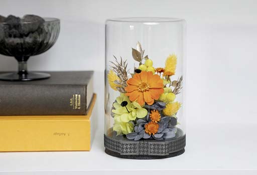 ꡼ No.005 | ֥ڥ륽ʡץ꡼򥤥᡼ƥꥢо졣ܥȥե磻쥹ԡʤ