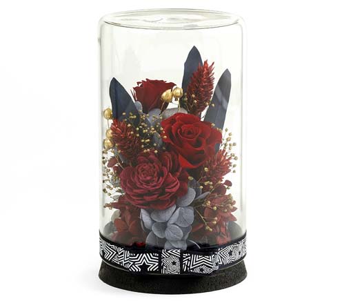 ꡼ No.006 | ֥ڥ륽ʡץ꡼򥤥᡼ƥꥢо졣ܥȥե磻쥹ԡʤ