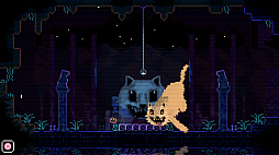 ꡼ No.004 | ANIMAL WELL