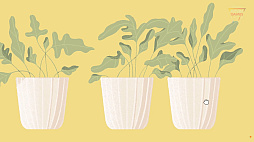 ꡼ No.007Υͥ / Τܤѥ륲A Little to the Leftס118˥꡼