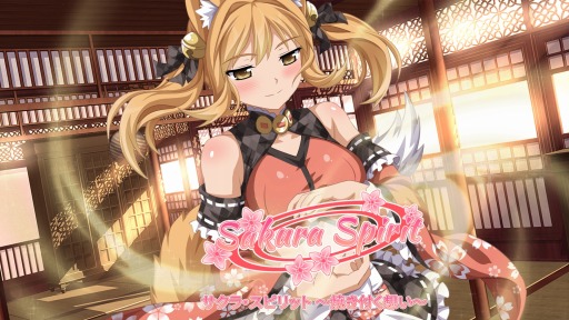 ���������꡼ No.007�Υ���ͥ������ / Switch��������ADV�֥����顦���ԥ�å� ���Ƥ��դ��ۤ����ס�6��23�����ۿ�����