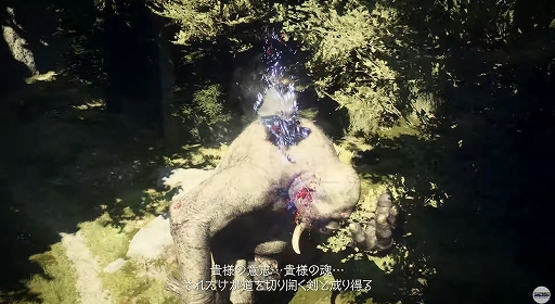 ꡼ No.007 | ֥ɥ饴󥺥ɥ 2סޤޤʥƮϿǿȥ쥤顼