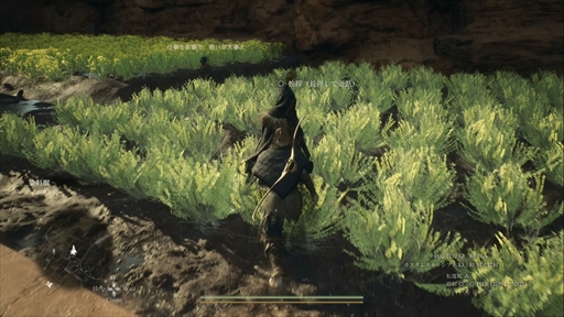 ꡼ No.022 | Υץ쥤ݡϡ֥ɥ饴󥺥ɥ 2ץǥץӥ塼θǤΤȥޥå㡼Ƥޤޤʥϥץ˥󥰤Ҳ