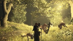 ꡼ No.006 | ֥ɥ饴󥺥ɥ 2׺2ͷ٤ե꡼ȥ饤򳫻ϡ̾ǡǥåǥ20󥪥դˤʤָꥻⳫ