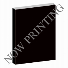 ꡼ No.025 | FINAL FANTASY VII REBIRTHסȯ2024ǯ229FFVIIᥤץ32