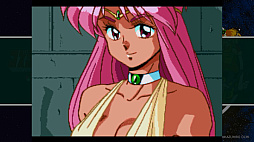 ꡼ No.005 | Υץ쥤ݡϡ֥ߥåե󥿥COLLECTIONPC󥸥̾Nintendo Switchǥץ쥤ǽˡҥΤ«