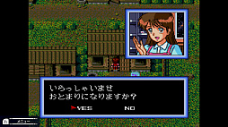 ꡼ No.037 | Υץ쥤ݡϡ֥ߥåե󥿥COLLECTIONPC󥸥̾Nintendo Switchǥץ쥤ǽˡҥΤ«