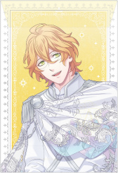 ꡼ No.049 | Ρץ󥹤ޤâ󥻥ץȥåסSHINING STOREסʤΰ