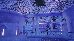 ꡼ No.007 | ֥ϡƥסդγȥͥᥢɤΥȡ꡼Ķʤɤξ֤θͭ䥹͸Ȥȥ֡ɤҲ