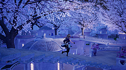 ꡼ No.008 | ֥ϡƥסդγȥͥᥢɤΥȡ꡼Ķʤɤξ֤θͭ䥹͸Ȥȥ֡ɤҲ