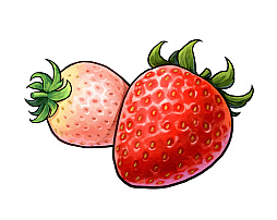 ꡼ No.024 | ֥ϡƥסդγȥͥᥢɤΥȡ꡼Ķʤɤξ֤θͭ䥹͸Ȥȥ֡ɤҲ