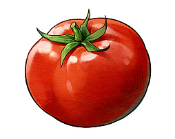 ꡼ No.026 | ֥ϡƥסդγȥͥᥢɤΥȡ꡼Ķʤɤξ֤θͭ䥹͸Ȥȥ֡ɤҲ