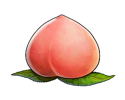 ꡼ No.027 | ֥ϡƥסդγȥͥᥢɤΥȡ꡼Ķʤɤξ֤θͭ䥹͸Ȥȥ֡ɤҲ