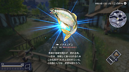 ꡼ No.034 | ֥ϡƥסդγȥͥᥢɤΥȡ꡼Ķʤɤξ֤θͭ䥹͸Ȥȥ֡ɤҲ