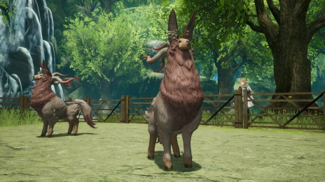 ꡼ No.040 | ֥ϡƥ׽Υȥ졼Ƥ¼ɤξʥ饯²ǥ󥵥ɤо