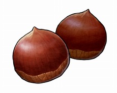 ꡼ No.051 | ֥ϡƥ׽Υȥ졼Ƥ¼ɤξʥ饯²ǥ󥵥ɤо