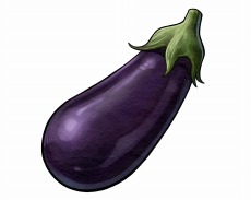 ꡼ No.056 | ֥ϡƥ׽Υȥ졼Ƥ¼ɤξʥ饯²ǥ󥵥ɤо