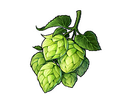 ꡼ No.023 | ֥ϡƥסƤΥդĮȥɤ䡤Įǽв񤦥饯ʤɤξ