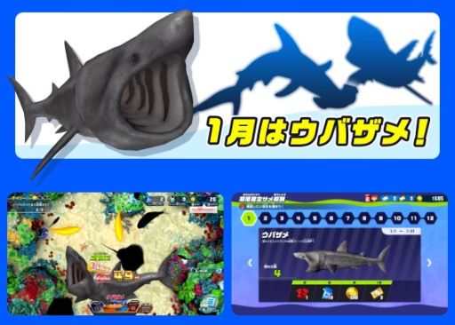 ꡼ No.003 | ꥹԥå äͷ٤²ۡסߤǵޤ뿷⡼ɤɲá㤦᤬о줹֥פפ2024ǯ1鳫