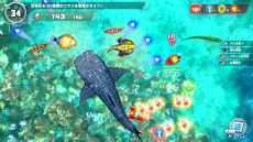 ꡼ No.005 | ꥹԥå äͷ٤²ۡסߤǵޤ뿷⡼ɤɲá㤦᤬о줹֥פפ2024ǯ1鳫