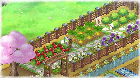 ꡼ No.015 | ֥ɥ館 ΤҾʪ 缫βȤߤʤβȡסʪȤʤȥɤ䡤о줹뽻̱ξ