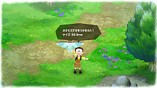 ꡼ No.013 | ֥ɥ館 ΤҾʪ 缫βȤߤʤβȡסΥ󲦹䡤ʤҤߤƻʤɤξ