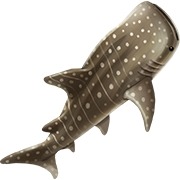 ꡼ No.022Υͥ / ֥ɥ館 ΤҾʪ 缫βȤߤʤβȡפĮŹޤ۾󤬸ˡνͤ俷ʡȤҤߤƻɤҲ