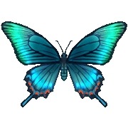 ꡼ No.023Υͥ / ֥ɥ館 ΤҾʪ 缫βȤߤʤβȡפĮŹޤ۾󤬸ˡνͤ俷ʡȤҤߤƻɤҲ