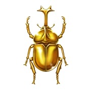 ꡼ No.024Υͥ / ֥ɥ館 ΤҾʪ 缫βȤߤʤβȡפĮŹޤ۾󤬸ˡνͤ俷ʡȤҤߤƻɤҲ