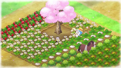 ꡼ No.010Υͥ / ֥ɥ館 ΤҾʪ 缫βȤߤʤβȡפκǿʺʪܻξ餫