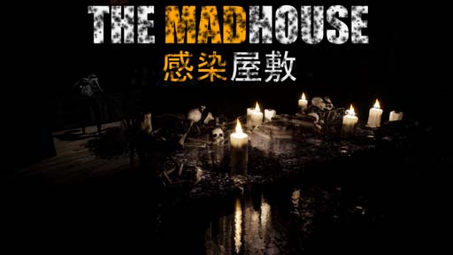 ���������꡼ No.001�Υ���ͥ������ / SwitchDL�ǡ�THE MADHOUSE | �������ߡ�������꡼����ȯ�䵭ǰ������򳫺���