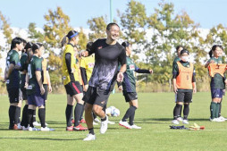 ꡼ No.017 | աeå긢١γťݡȤ