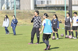 ꡼ No.018 | աeå긢١γťݡȤ