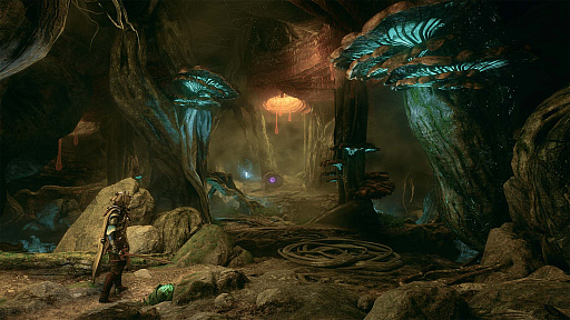 ꡼ No.004 | WarframeפλץȡSoulframeפΦƥȤָǻòǽˡTennoConȯɽ줿ƤϤ