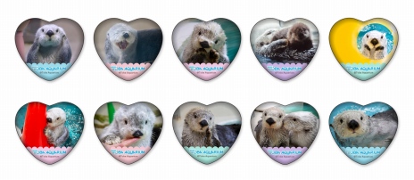 ���������꡼ No.011�Υ���ͥ������ / �֥��פ�������饤���Ļ����²�ۤο͵��ԡȥ�å��Υᥤ�����ɤȤΥ���ܥ��å����о졣��ͧã�Υ��������饤��ʥå�