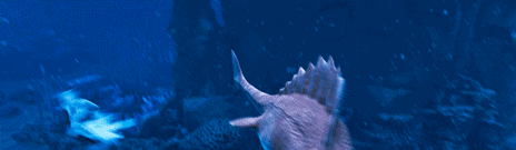 画像ギャラリー No.005のサムネイル画像 / 新作タイトル「グレイシャード」が発表に。氷に覆われた海に適応した鳥類の末裔“トゥアイ”の冒険を描くSFアドベンチャー