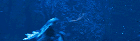 画像ギャラリー No.006のサムネイル画像 / 新作タイトル「グレイシャード」が発表に。氷に覆われた海に適応した鳥類の末裔“トゥアイ”の冒険を描くSFアドベンチャー