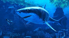 ꡼ No.011 | ȥ֥쥤㡼ɡפȯɽˡɹʤ줿ŬĻȥȥɤSFɥ٥㡼