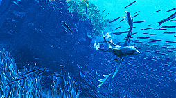 グレイシャード