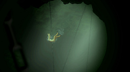 Ͷ�ǡ������Τ�ʪ��