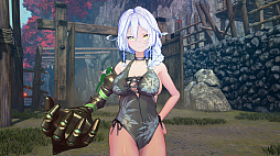 ꡼ No.007 | 륺SAMURAI MAIDEN -饤ᥤǥ-סPS Storeȥ˥ƥɡeåפǥǤͽճϡǥåǥȯ