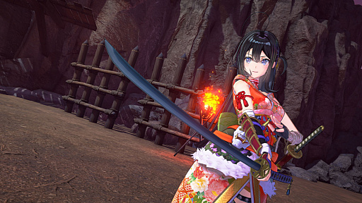 ꡼ No.009 | 륺SAMURAI MAIDEN -饤ᥤǥ-סPS Storeȥ˥ƥɡeåפǥǤͽճϡǥåǥȯ