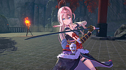 ꡼ No.010 | 륺SAMURAI MAIDEN -饤ᥤǥ-סPS Storeȥ˥ƥɡeåפǥǤͽճϡǥåǥȯ