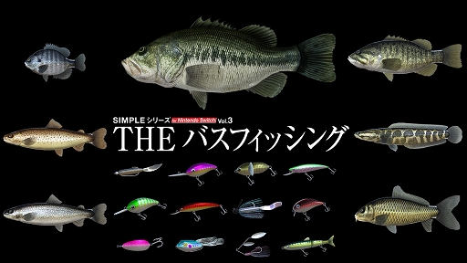 ꡼ No.004 | SAMURAI MAIDENץǥåǤʤɡD3PSwitchDLեȤ㤤ˡ˥ƥɡeåפ2»