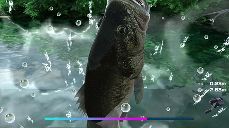 ꡼ No.005 | SAMURAI MAIDENץǥåǤʤɡD3PSwitchDLեȤ㤤ˡ˥ƥɡeåפ2»