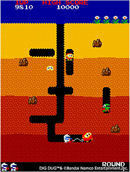 ꡼ No.003 | ɥ֥ ǥ