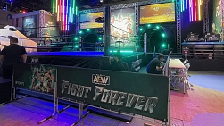 ꡼ No.008 | TGS2022AEWΥץ쥹󥰤THQ Nordic֡о졣󥰤ǤεǰƤΤۤAEWӥTGSǽޤ2»